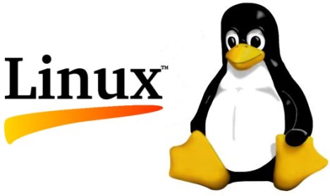 linux_penguin.jpg